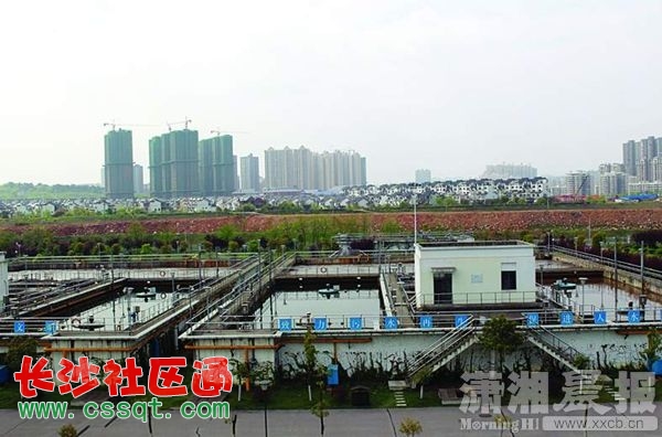 lih1505261.JPG